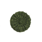 Luna Beret - Moss